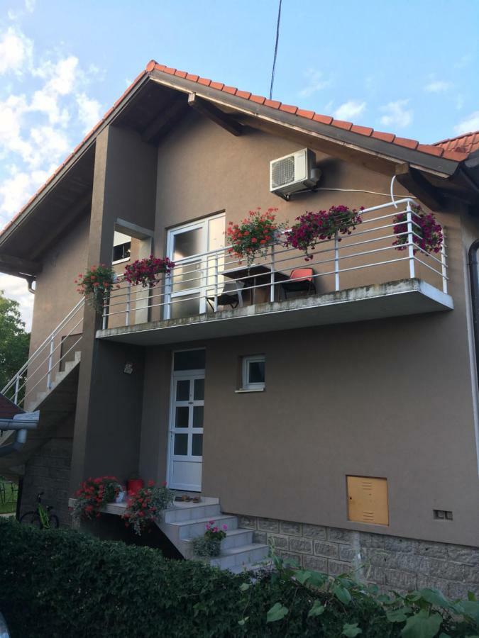 Guest House Ruza Tenja Bagian luar foto